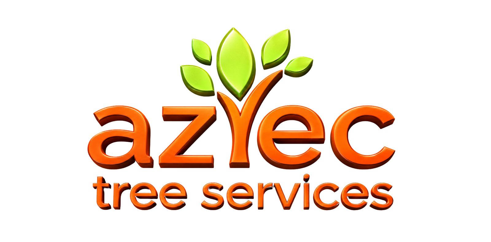 Redwood City Tree Removal-Aztec Tree Services LLC